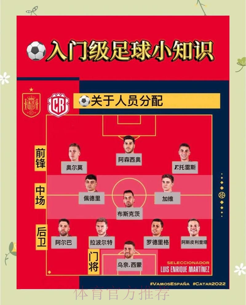 全方位解析世界杯赛事平台使用指南